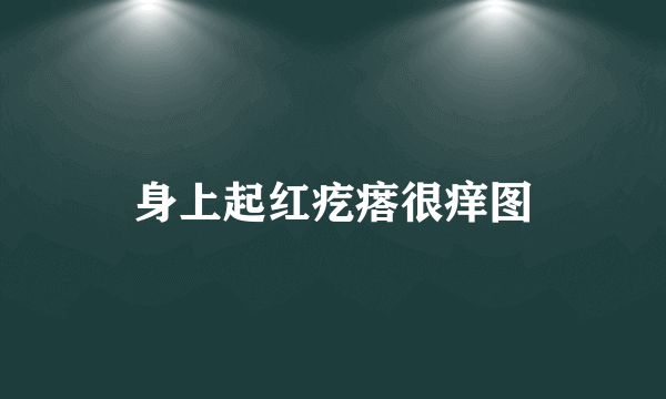 身上起红疙瘩很痒图