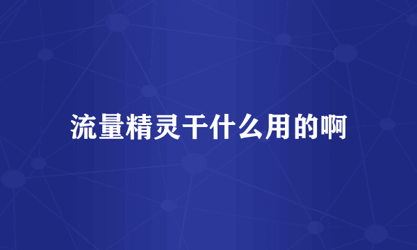 流量精灵干什么用的啊