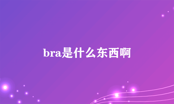bra是什么东西啊