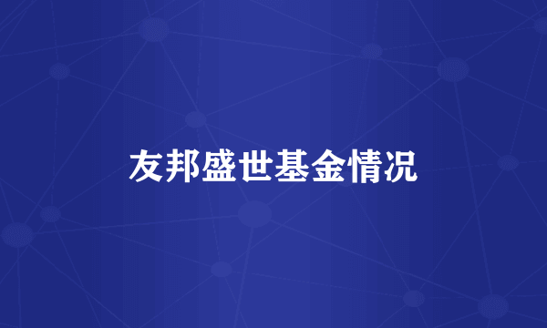 友邦盛世基金情况
