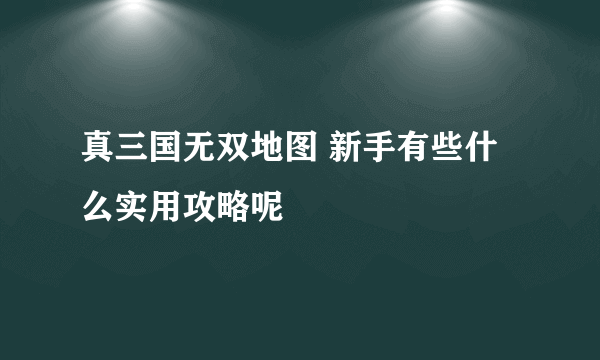 真三国无双地图 新手有些什么实用攻略呢
