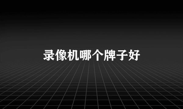 录像机哪个牌子好