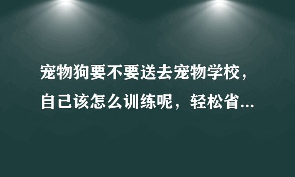 宠物狗要不要送去宠物学校，自己该怎么训练呢，轻松省下几千块