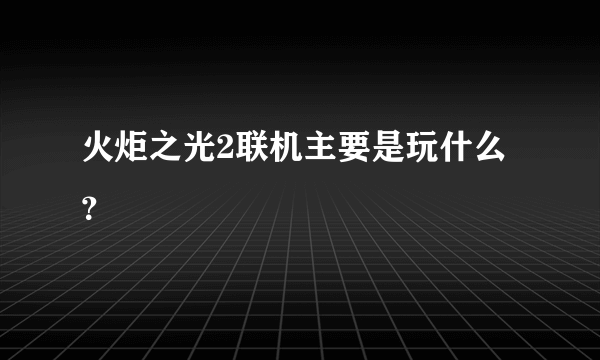 火炬之光2联机主要是玩什么？