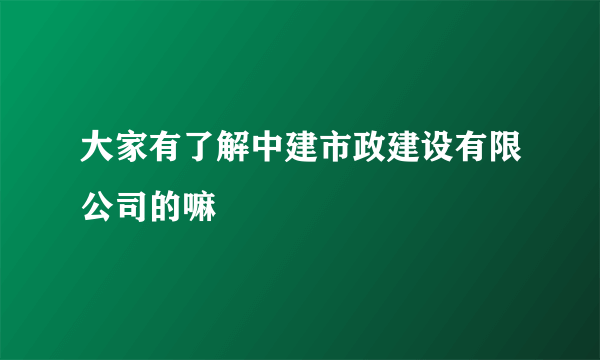 大家有了解中建市政建设有限公司的嘛