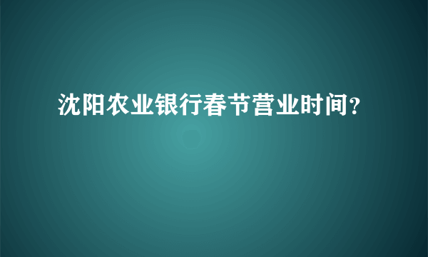 沈阳农业银行春节营业时间？
