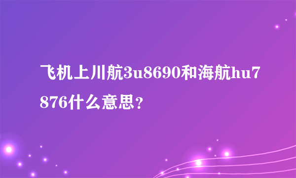 飞机上川航3u8690和海航hu7876什么意思？