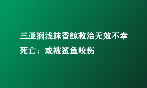 三亚搁浅抹香鲸救治无效不幸死亡：或被鲨鱼咬伤