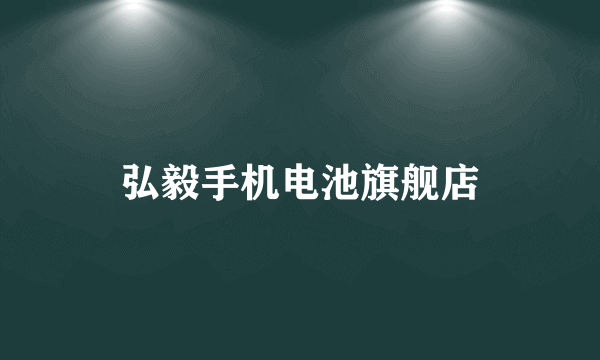 弘毅手机电池旗舰店