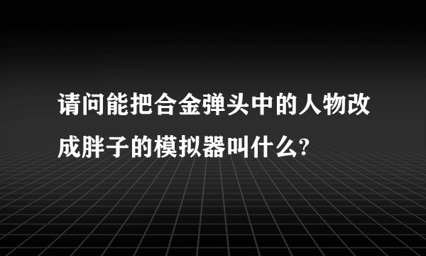 请问能把合金弹头中的人物改成胖子的模拟器叫什么?