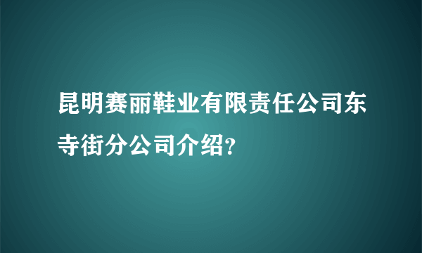 昆明赛丽鞋业有限责任公司东寺街分公司介绍？