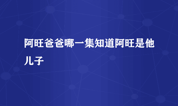阿旺爸爸哪一集知道阿旺是他儿子