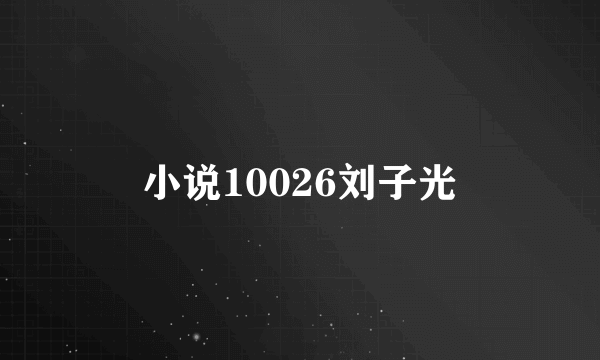 小说10026刘子光