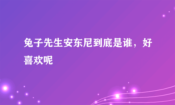兔子先生安东尼到底是谁，好喜欢呢