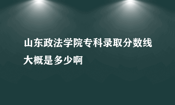 山东政法学院专科录取分数线大概是多少啊