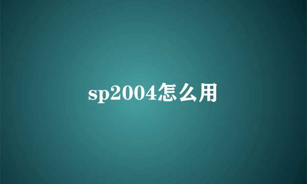 sp2004怎么用
