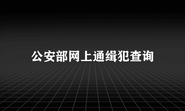 公安部网上通缉犯查询