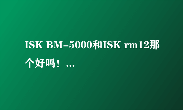 ISK BM-5000和ISK rm12那个好吗！请大家说说！