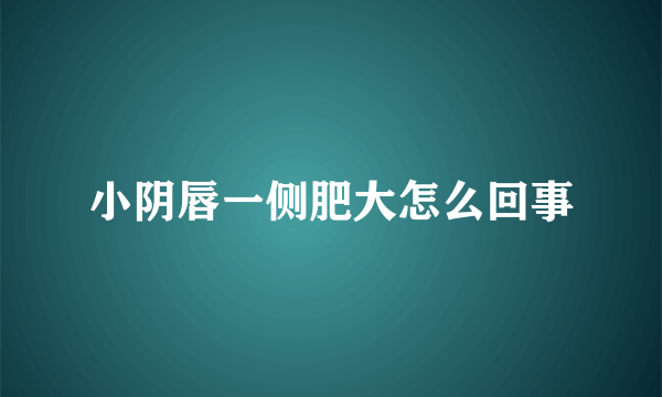 小阴唇一侧肥大怎么回事