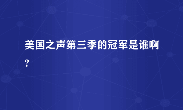 美国之声第三季的冠军是谁啊?
