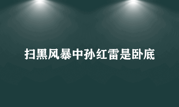 扫黑风暴中孙红雷是卧底