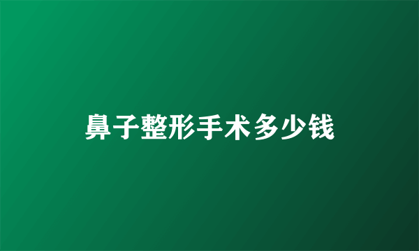 鼻子整形手术多少钱
