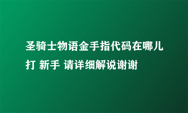 圣骑士物语金手指代码在哪儿打 新手 请详细解说谢谢