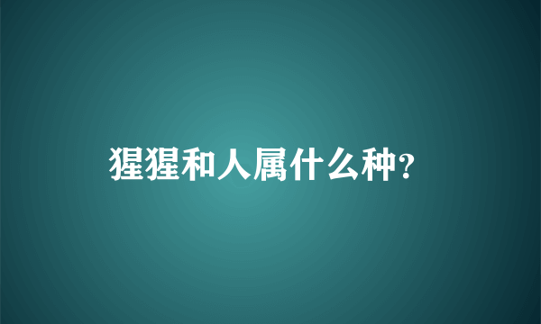 猩猩和人属什么种？