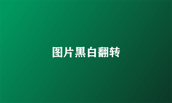 图片黑白翻转