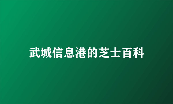 武城信息港的芝士百科
