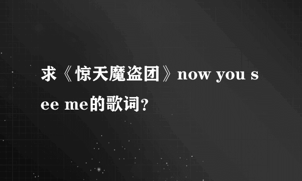 求《惊天魔盗团》now you see me的歌词？