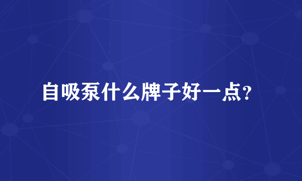 自吸泵什么牌子好一点？