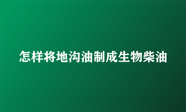 怎样将地沟油制成生物柴油