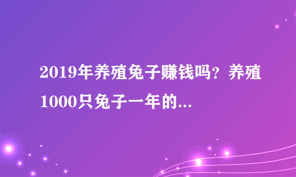 2019年养殖兔子赚钱吗？养殖1000只兔子一年的利润多少？