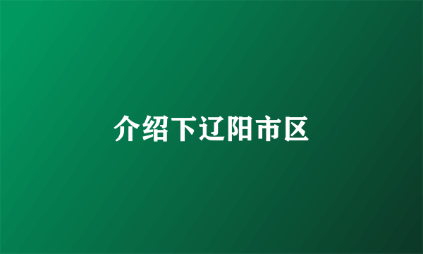 介绍下辽阳市区