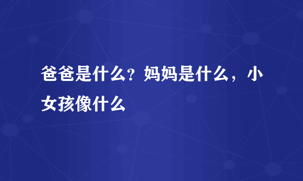 爸爸是什么？妈妈是什么，小女孩像什么