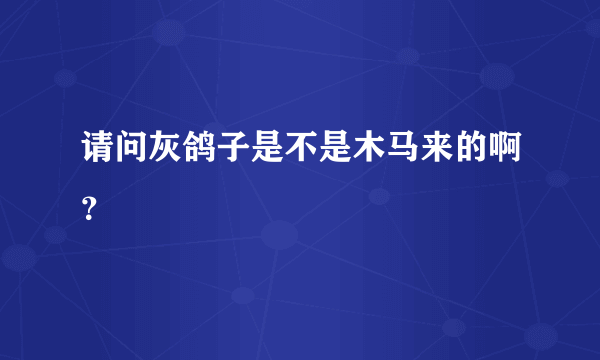 请问灰鸽子是不是木马来的啊？