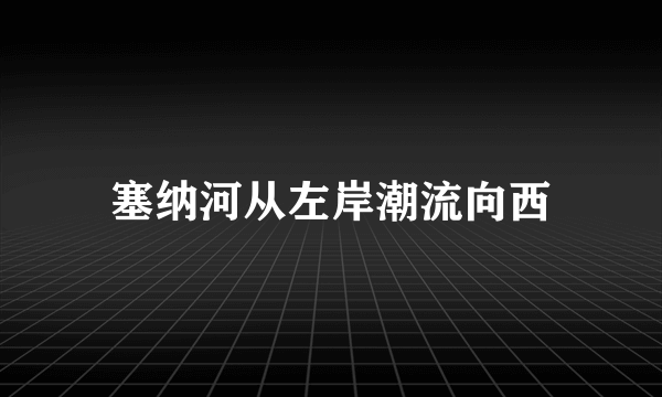 塞纳河从左岸潮流向西
