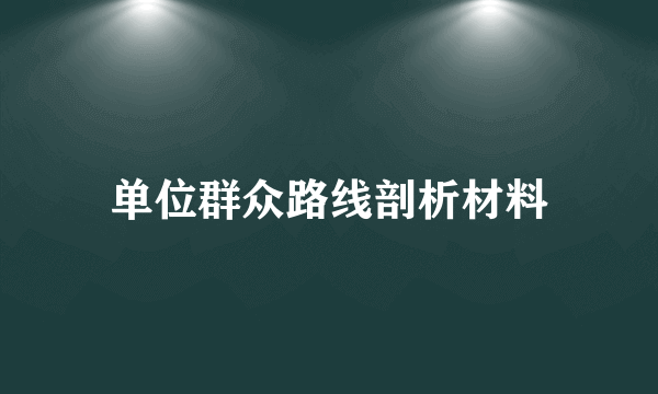 单位群众路线剖析材料