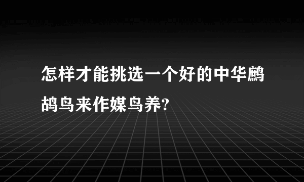 怎样才能挑选一个好的中华鹧鸪鸟来作媒鸟养?