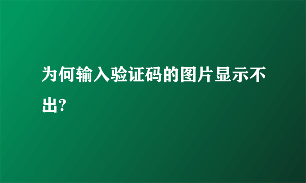 为何输入验证码的图片显示不出?