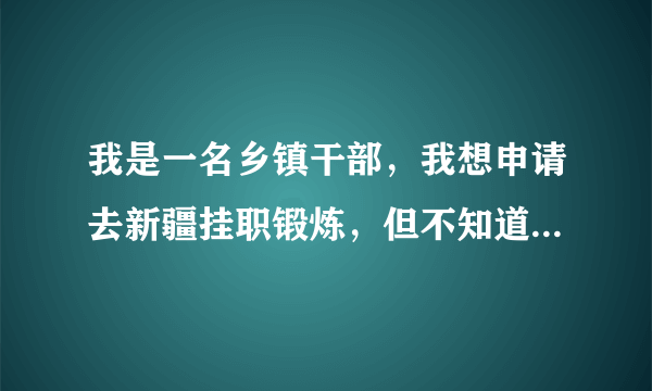 我是一名乡镇干部，我想申请去新疆挂职锻炼，但不知道怎样去，该办些什么手续？