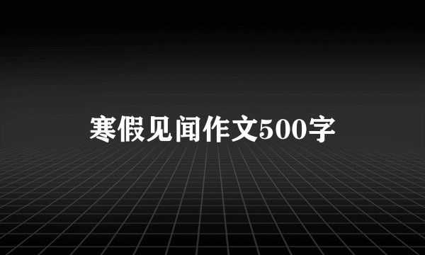 寒假见闻作文500字