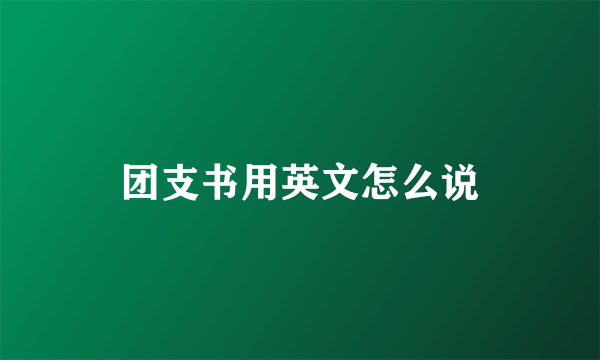 团支书用英文怎么说