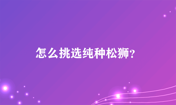 怎么挑选纯种松狮？