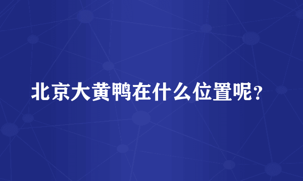 北京大黄鸭在什么位置呢？