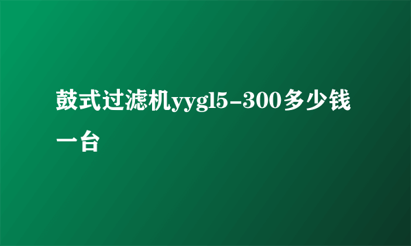 鼓式过滤机yygl5-300多少钱一台