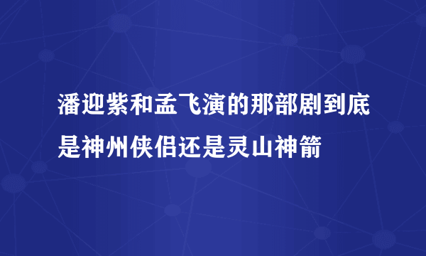 潘迎紫和孟飞演的那部剧到底是神州侠侣还是灵山神箭