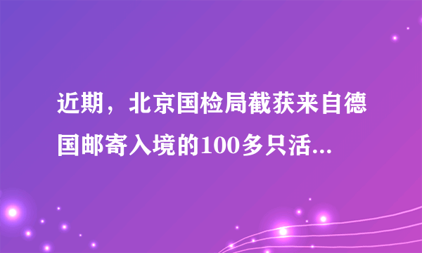 近期，北京国检局截获来自德国邮寄入境的100多只活蟑螂和501只活蜘蛛，避免了它们入境形成生物入侵等危害．蟑螂和蜘蛛在生物分类中最小的共同分类单位是（　　）