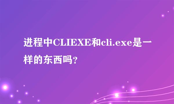 进程中CLIEXE和cli.exe是一样的东西吗？